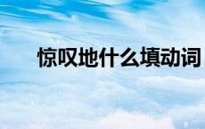 惊叹地什么填动词（惊叹地什么填空）