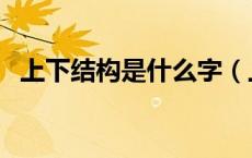 上下结构是什么字（上下结构是什么意思）