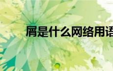 屑是什么网络用语（屑指是什么梗）