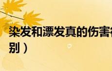 染发和漂发真的伤害很大吗（染发和漂发的区别）