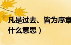 凡是过去、皆为序章!（凡是过去皆为序章是什么意思）