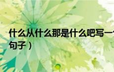 什么从什么那是什么吧写一句话（什么从什么那是什么吧写句子）