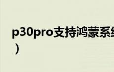 p30pro支持鸿蒙系统吗（p30pro支持5g吗）
