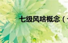 七级风啥概念（七级风什么概念）