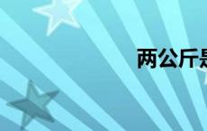 两公斤是多少克
