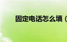 固定电话怎么填（固定电话怎么填）