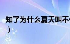 知了为什么夏天叫不停（知了为什么夏天会叫）