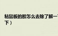 粘鼠板的胶怎么去除了解一下（粘鼠板的胶怎么去除了解一下）