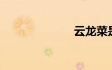 云龙菜是什么菜