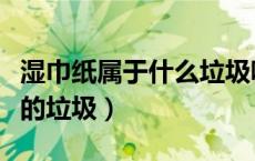 湿巾纸属于什么垃圾呢（湿巾纸属于什么类型的垃圾）