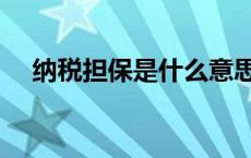 纳税担保是什么意思（什么是纳税担保）