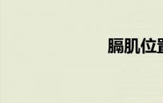 膈肌位置是哪里