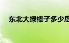 东北大绿棒子多少度（大绿棒子多少度）