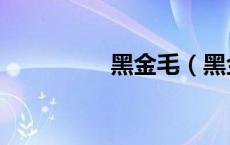 黑金毛（黑金毛叫什么）