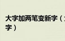 大字加两笔变新字（大字加两笔能变几个别的字）