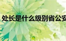处长是什么级别省公安厅（处长是什么级别）