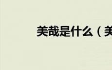 美哉是什么（美哉是什么意思）