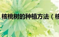 核桃树的种植方法（核桃树嫁接时间和方法）