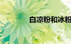 白凉粉和冰粉粉有什么不同