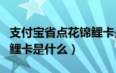支付宝省点花锦鲤卡是什么（支付宝省点花锦鲤卡是什么）
