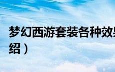 梦幻西游套装各种效果（梦幻西游套装效果介绍）