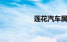 莲花汽车属于哪个品牌