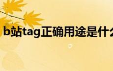 b站tag正确用途是什么（b站TAG什么意思）
