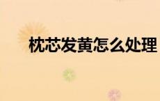 枕芯发黄怎么处理（枕芯发黄怎样洗）