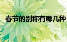 春节的别称有哪几种（春节的别称有什么）