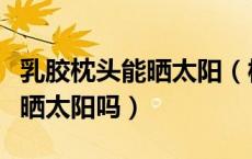 乳胶枕头能晒太阳（橡胶枕头和乳胶枕头可以晒太阳吗）