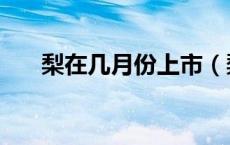 梨在几月份上市（梨几月份成熟采摘）