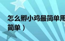 怎么孵小鸡最简单用塑料盒（怎么孵小鸡 最简单）