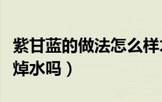 紫甘蓝的做法怎么样才能好吃（紫甘蓝凉拌要焯水吗）