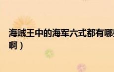 海贼王中的海军六式都有哪些（海贼王中海军六式都是哪些啊）