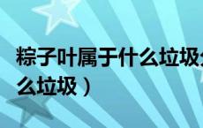 粽子叶属于什么垃圾分类（垃圾分类粽叶是什么垃圾）