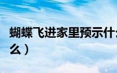 蝴蝶飞进家里预示什么（蝴蝶飞进家里预示什么）