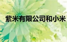 紫米有限公司和小米（紫米小米是一家吗）
