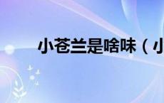 小苍兰是啥味（小苍兰类似什么味）