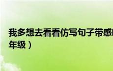 我多想去看看仿写句子带感叹号（我多想去看看仿写句子一年级）