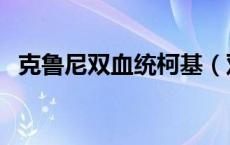 克鲁尼双血统柯基（双血统柯基什么意思）