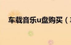 车载音乐u盘购买（车载音乐u盘怎么用）