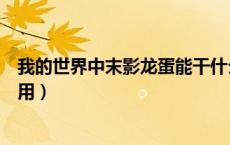 我的世界中末影龙蛋能干什么（我的世界中末影龙蛋有什么用）