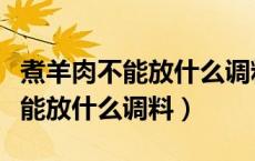 煮羊肉不能放什么调料最香最好吃（煮羊肉不能放什么调料）