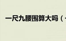 一尺九腰围算大吗（一尺九的腰围算细吗）