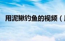 用泥鳅钓鱼的视频（用泥鳅钓鱼的怎么挂）