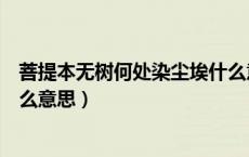 菩提本无树何处染尘埃什么意思（菩提本无树何处惹尘埃什么意思）