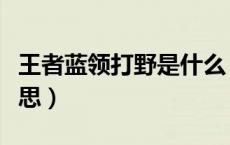 王者蓝领打野是什么（王者蓝领打野是什么意思）