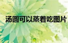 汤圆可以蒸着吃图片（汤圆可以蒸着吃吗）