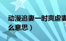 动漫追妻一时爽虐妻火葬场（dmz区域是什么意思）