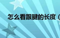 怎么看跟腱的长度（跟腱长度测量方法）